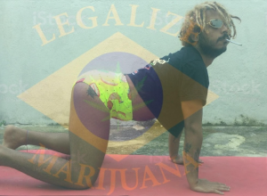 Rastricinha está sobre um tapete. Há uma imagem sobreposta com as formas geométricas da bandeira do Brasil, com o desenho da Cannabis sativa no centro e os dizeres ''Legaliza Marijuana'' ao redor.