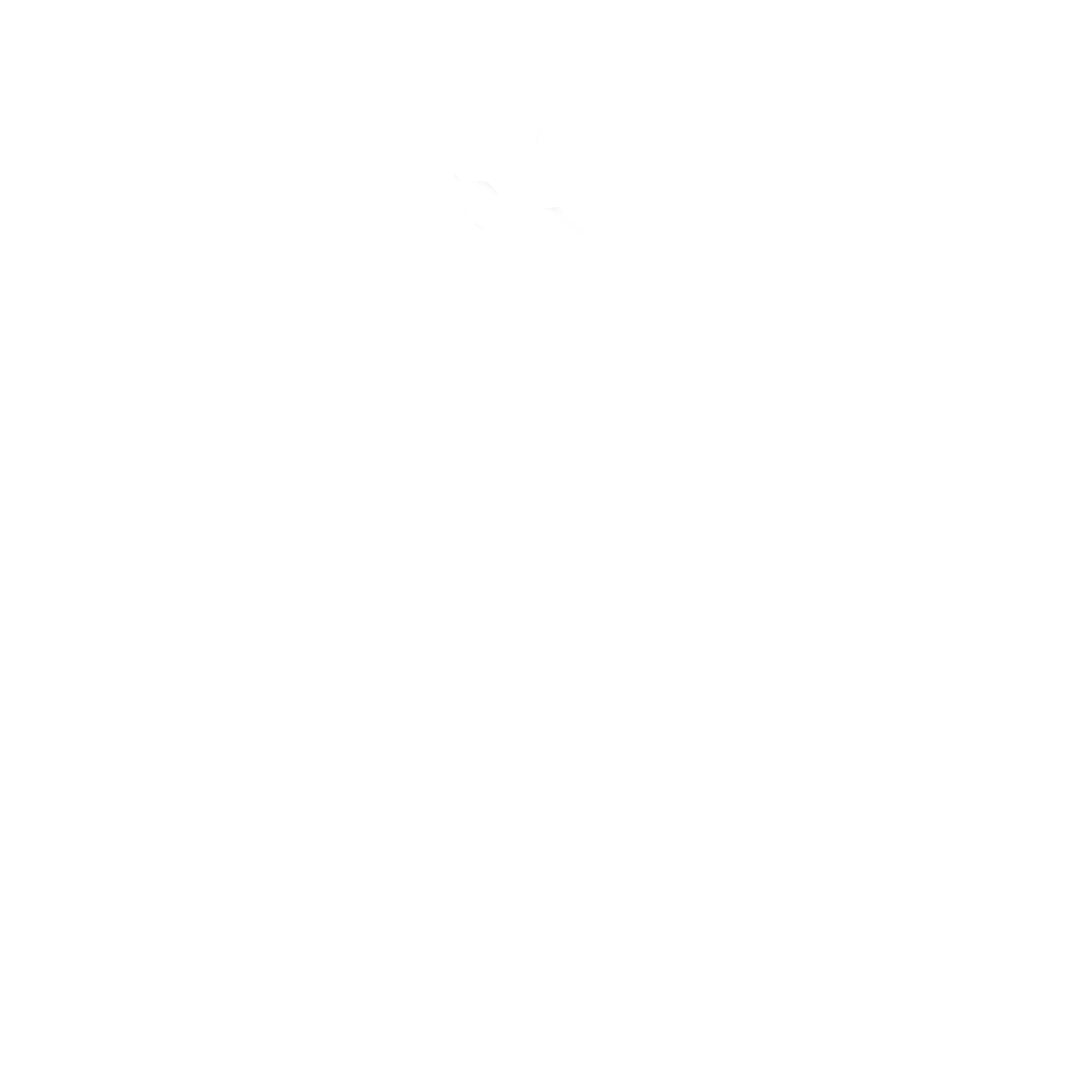 O Brasil que a gente imagina